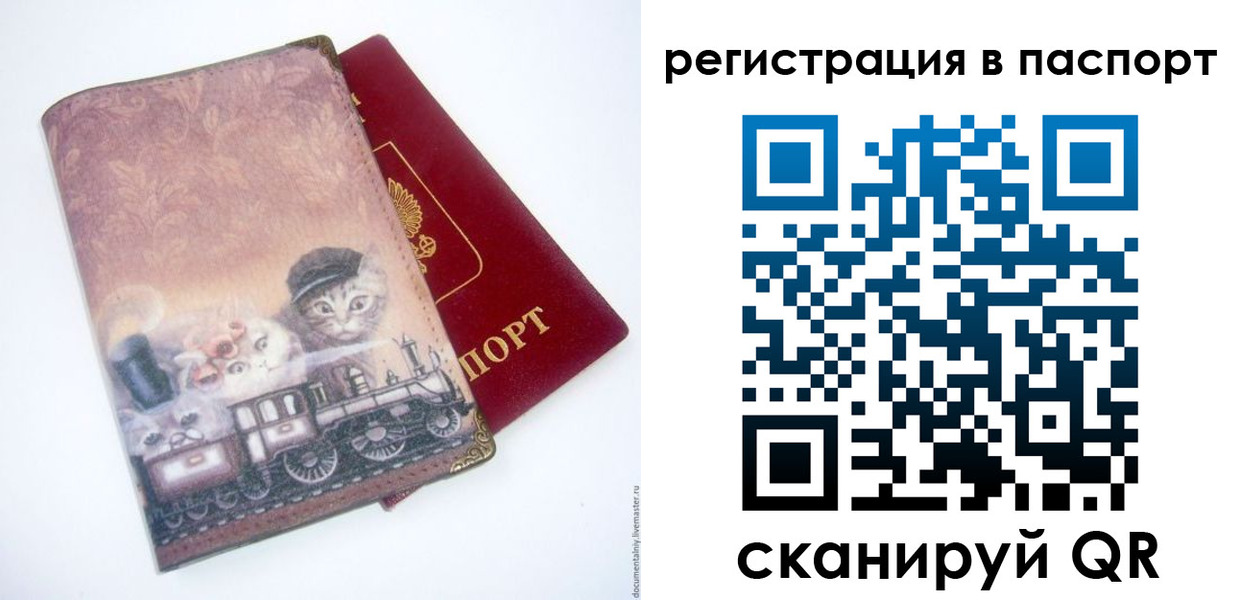 прописка гарантия в Клинцах